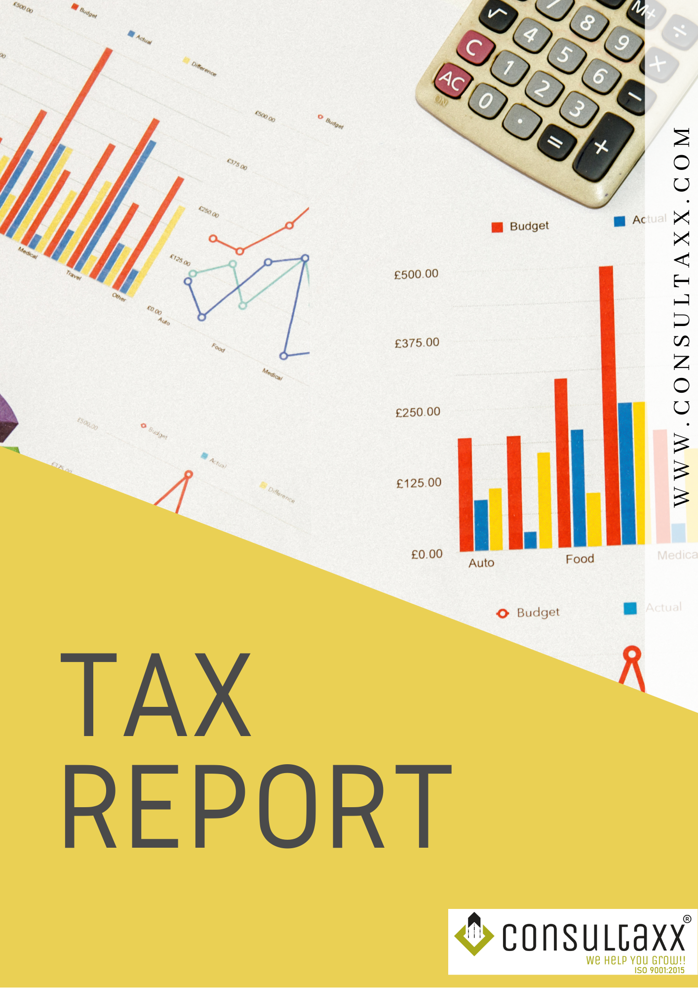 Consultaxx ITR Filing Report