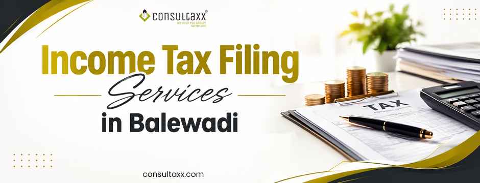 Income Tax Filing Services in Balewadi